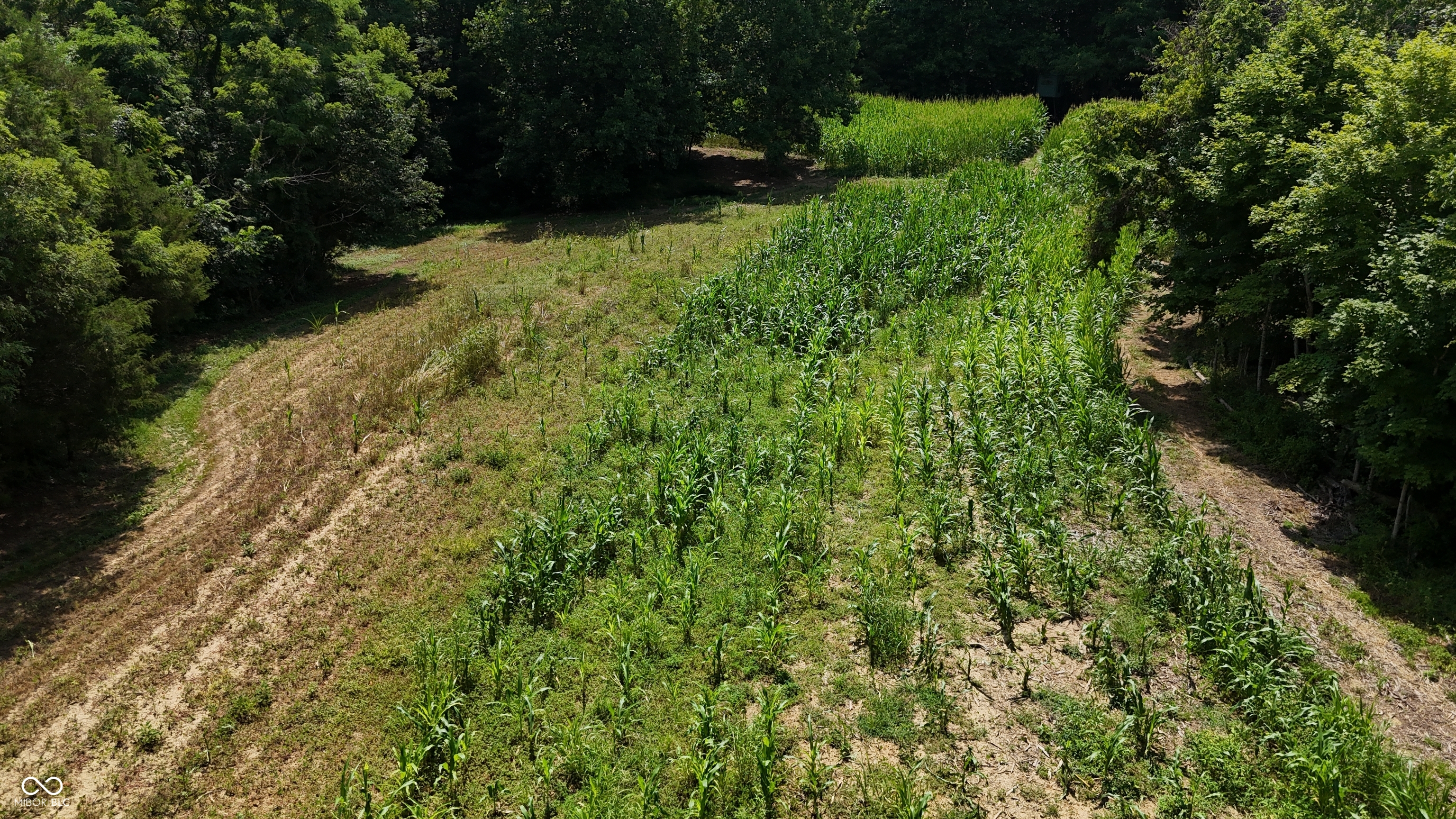 6000 North East Prong Road Madison, IN 47250 - Photo 56 of 91