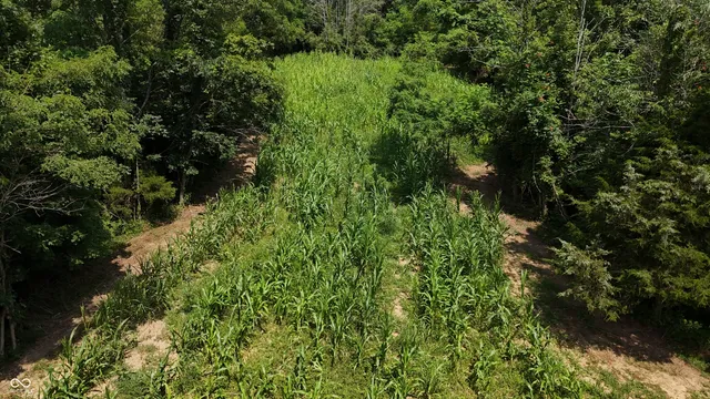 $679,900 | 6000 North East Prong Road, Madison, IN 47250