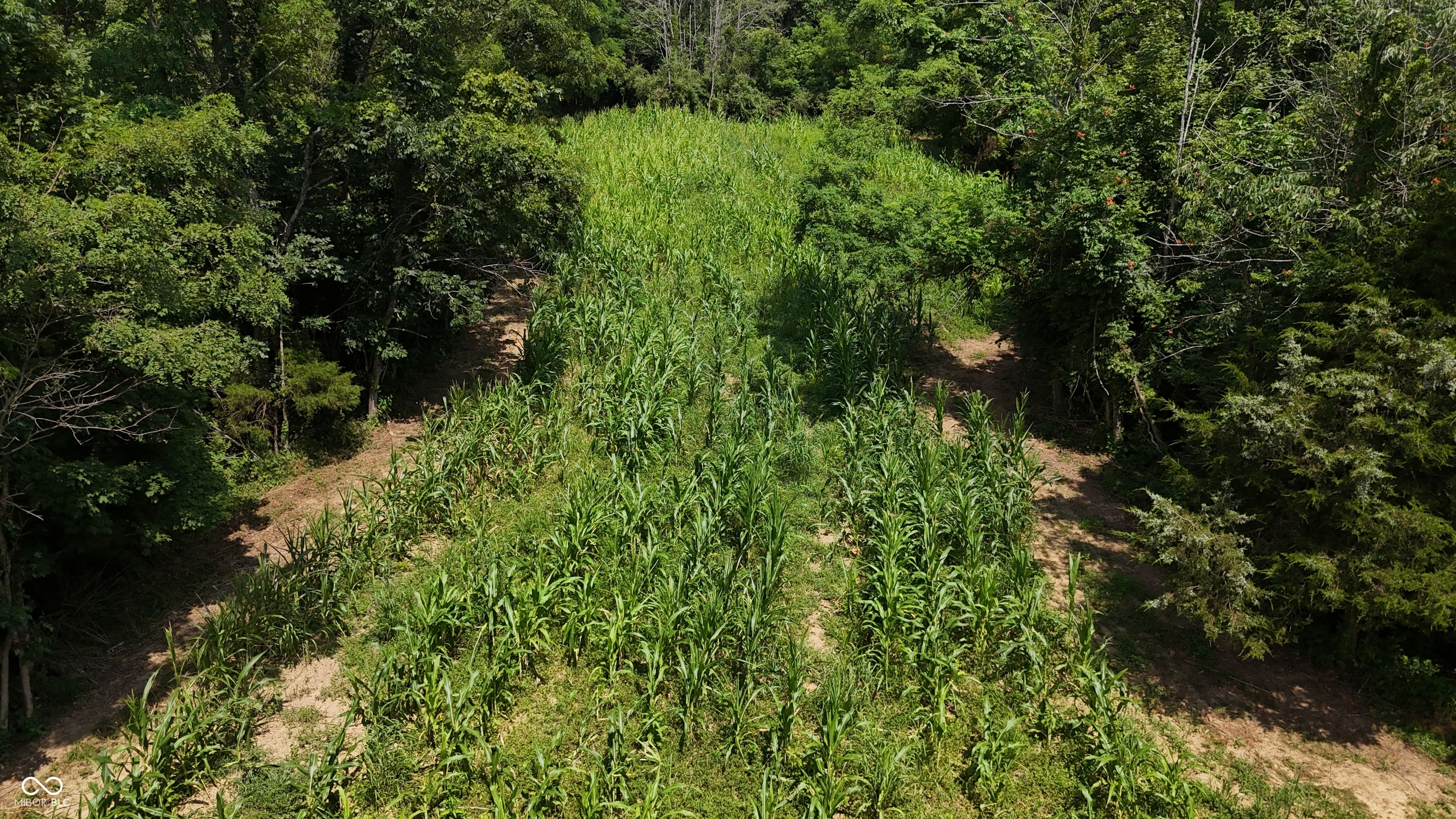 6000 North East Prong Road Madison, IN 47250 - Photo 57 of 91