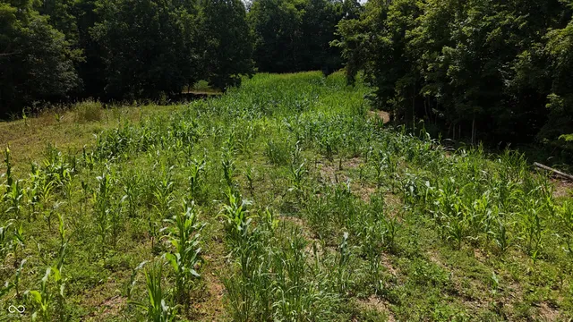 $679,900 | 6000 North East Prong Road, Madison, IN 47250