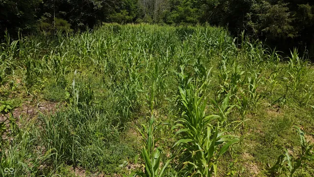 $679,900 | 6000 North East Prong Road, Madison, IN 47250