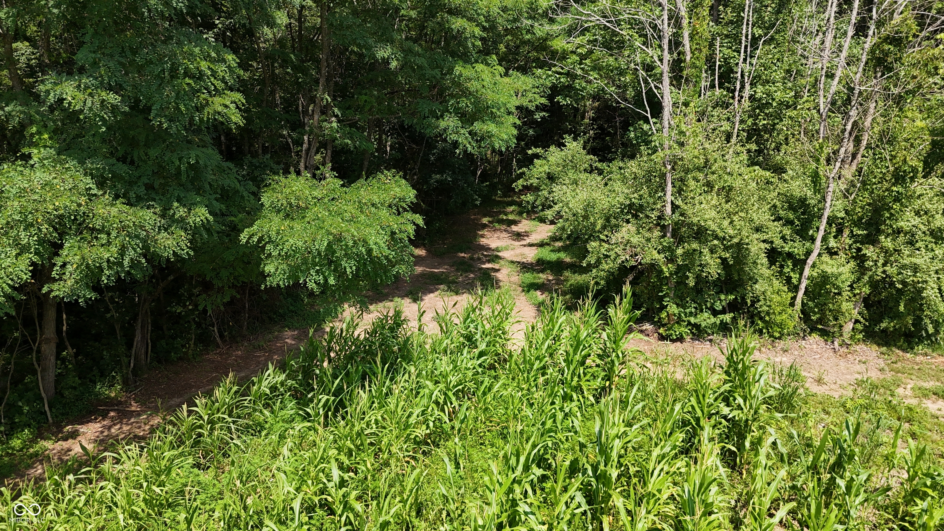 6000 North East Prong Road Madison, IN 47250 - Photo 60 of 91