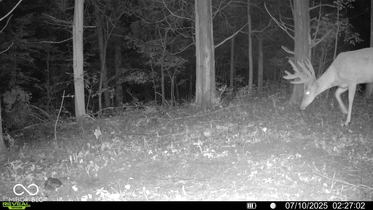 6000 North East Prong Road Madison, IN 47250 - Photo 6 of 91