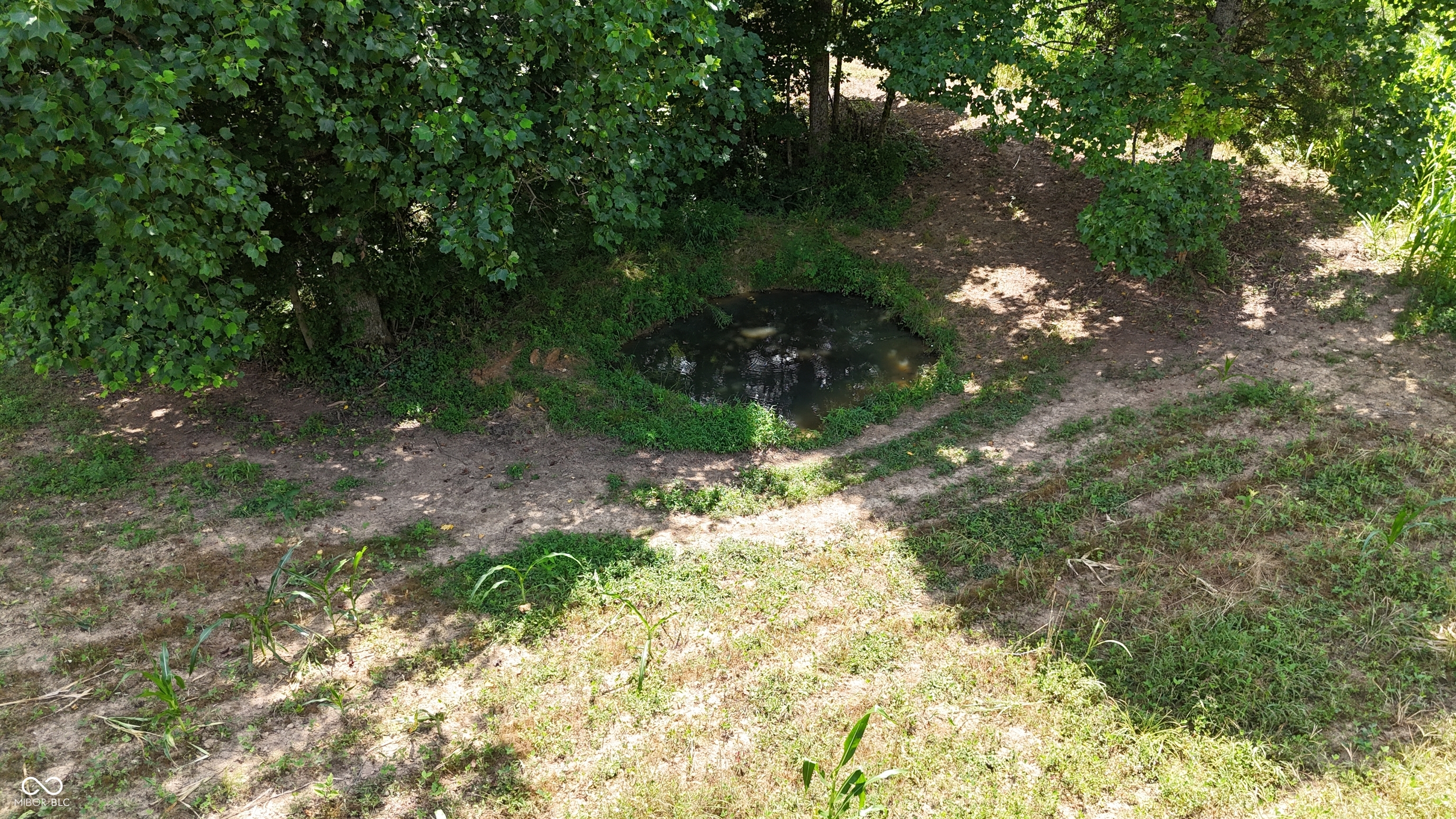 6000 North East Prong Road Madison, IN 47250 - Photo 64 of 91