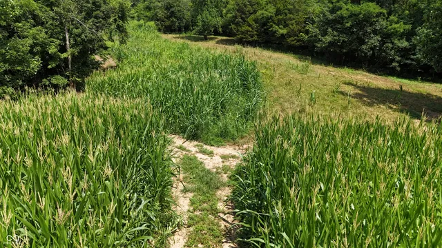 $679,900 | 6000 North East Prong Road, Madison, IN 47250