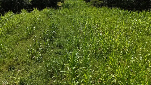 $679,900 | 6000 North East Prong Road, Madison, IN 47250