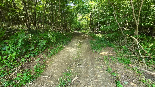 $679,900 | 6000 North East Prong Road, Madison, IN 47250