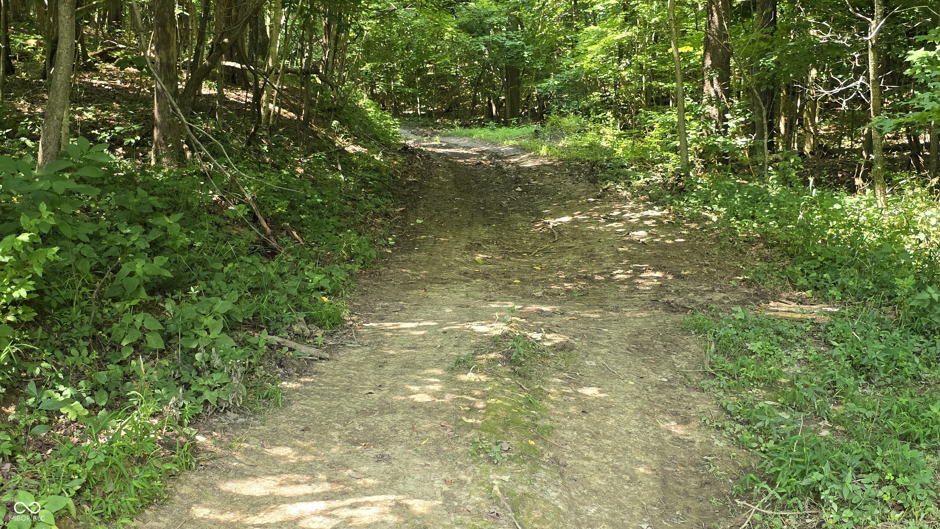 6000 North East Prong Road Madison, IN 47250 - Photo 68 of 91