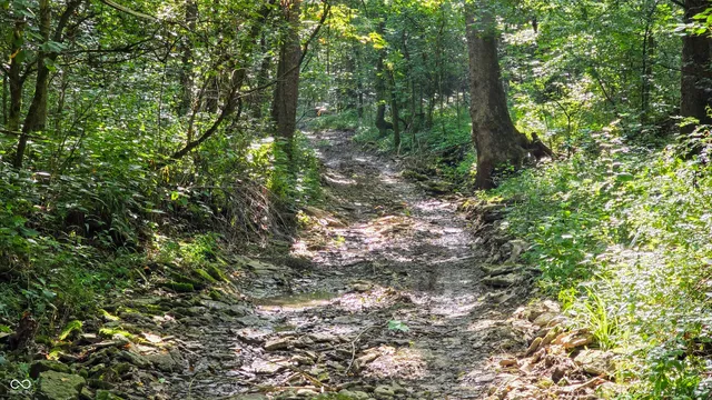 $679,900 | 6000 North East Prong Road, Madison, IN 47250