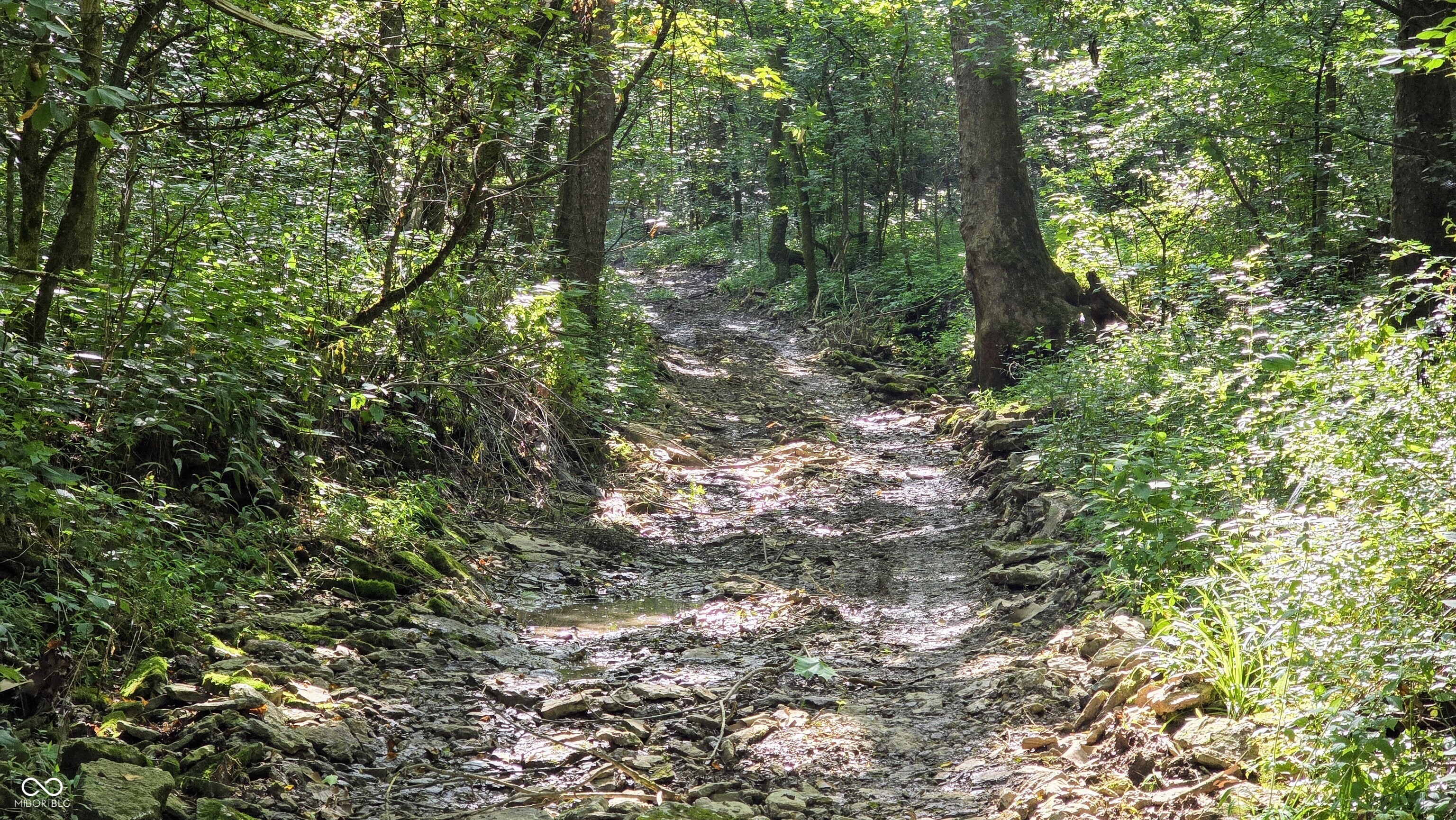 6000 North East Prong Road Madison, IN 47250 - Photo 69 of 91