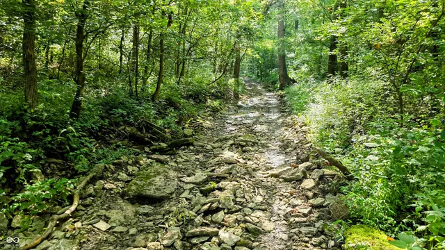 $679,900 | 6000 North East Prong Road, Madison, IN 47250