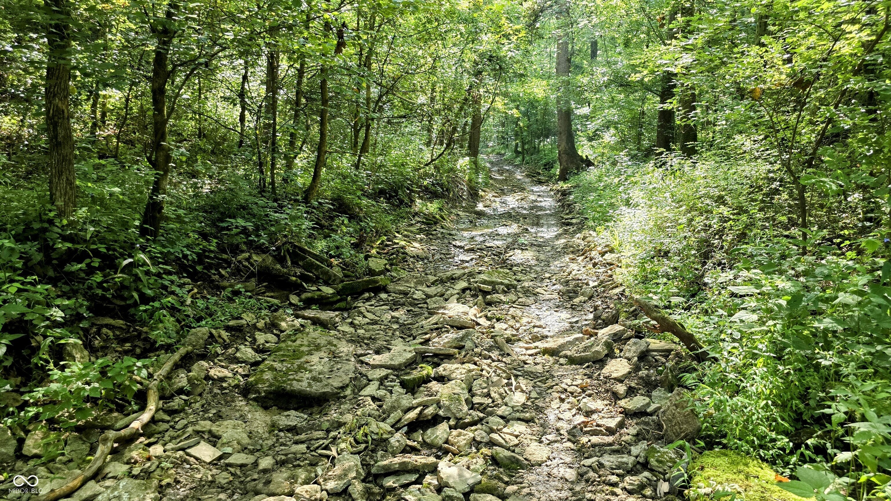 6000 North East Prong Road Madison, IN 47250 - Photo 70 of 91