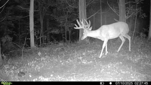 $679,900 | 6000 North East Prong Road, Madison, IN 47250