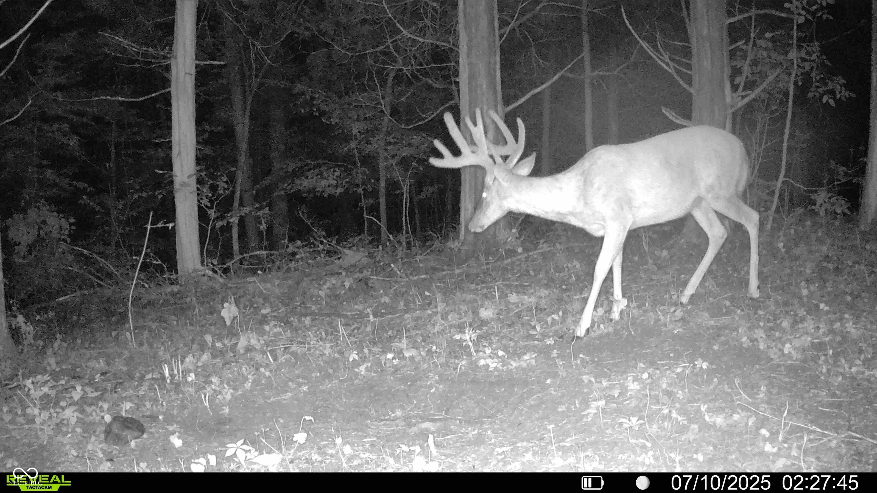 6000 North East Prong Road Madison, IN 47250 - Photo 7 of 91