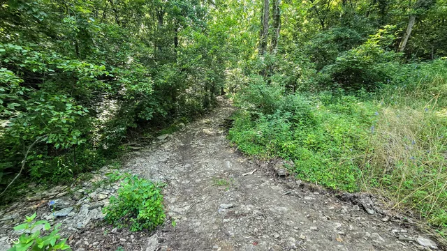 $679,900 | 6000 North East Prong Road, Madison, IN 47250