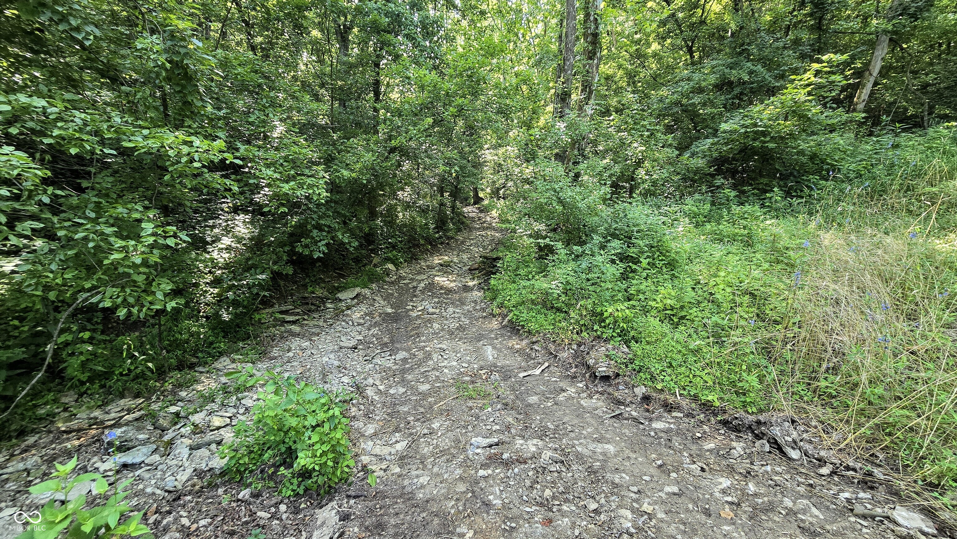 6000 North East Prong Road Madison, IN 47250 - Photo 71 of 91