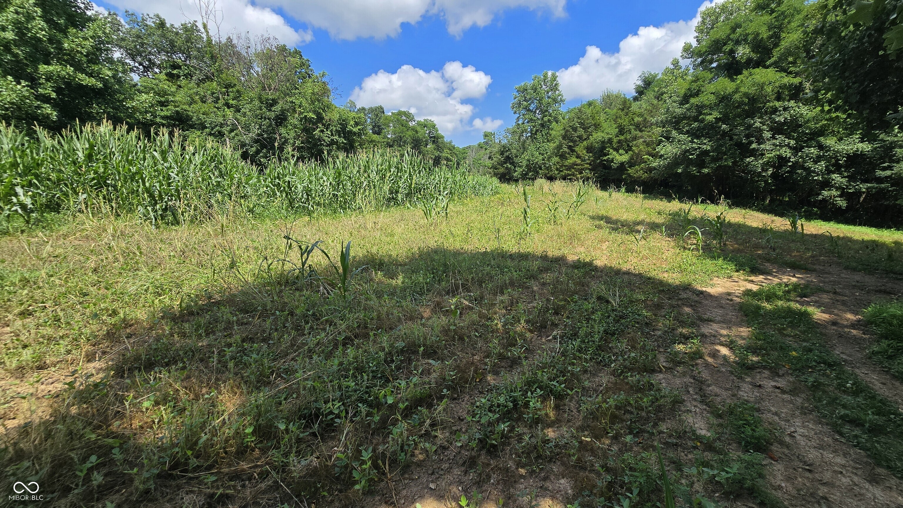 6000 North East Prong Road Madison, IN 47250 - Photo 72 of 91