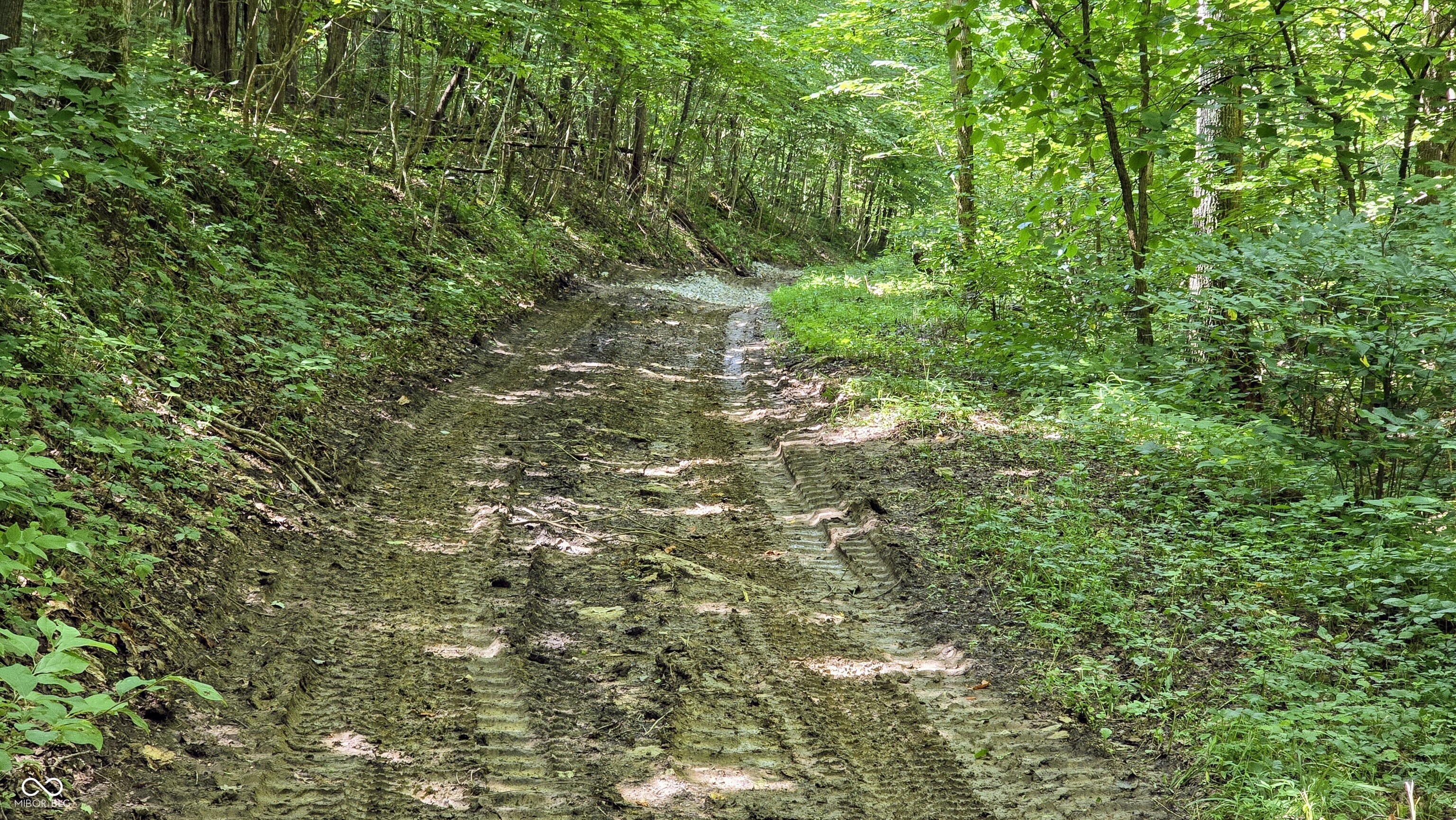 6000 North East Prong Road Madison, IN 47250 - Photo 73 of 91