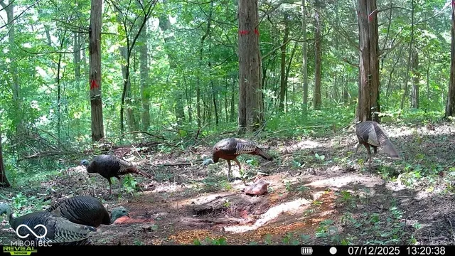 $679,900 | 6000 North East Prong Road, Madison, IN 47250