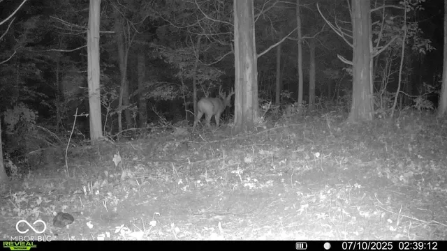 $679,900 | 6000 North East Prong Road, Madison, IN 47250