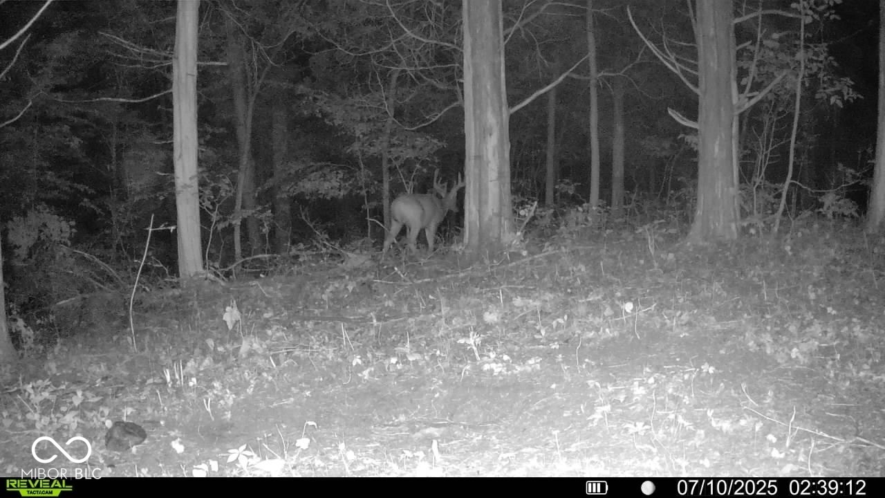 6000 North East Prong Road Madison, IN 47250 - Photo 79 of 91