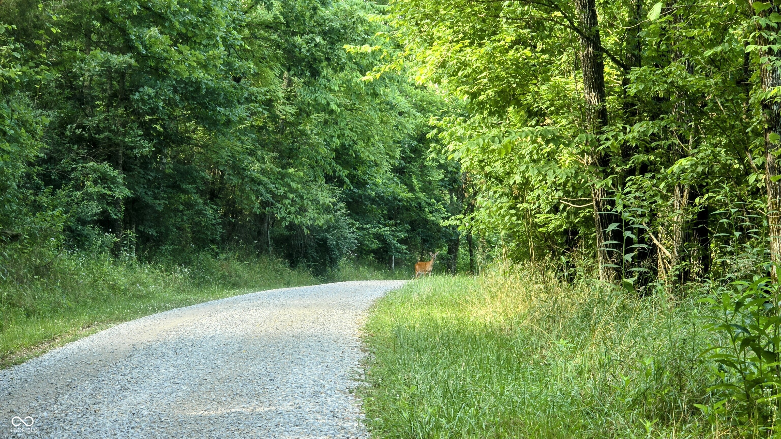 6000 North East Prong Road Madison, IN 47250 - Photo 8 of 91