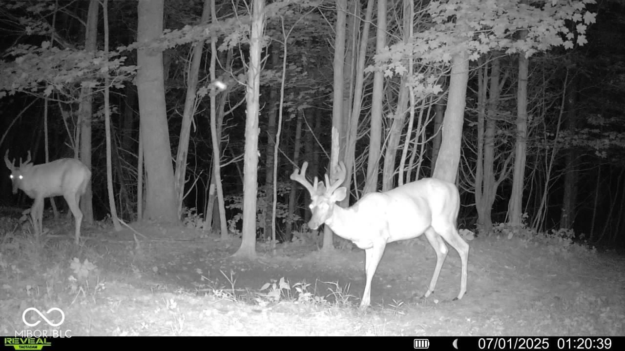 6000 North East Prong Road Madison, IN 47250 - Photo 81 of 91