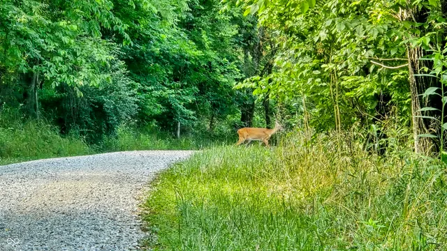 $679,900 | 6000 North East Prong Road, Madison, IN 47250