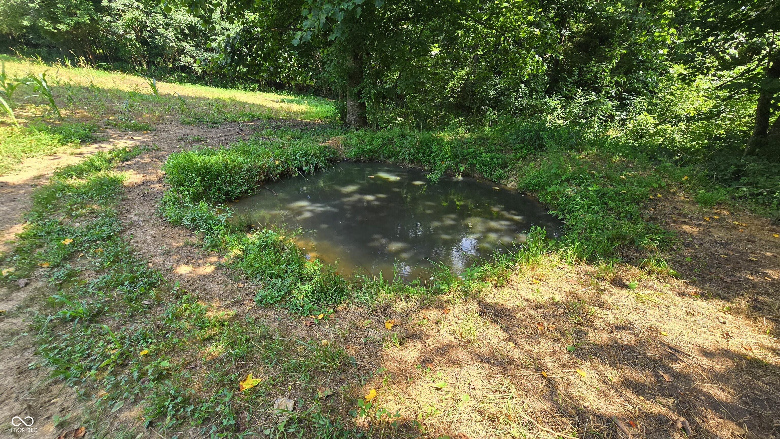 6000 North East Prong Road Madison, IN 47250 - Photo 10 of 91