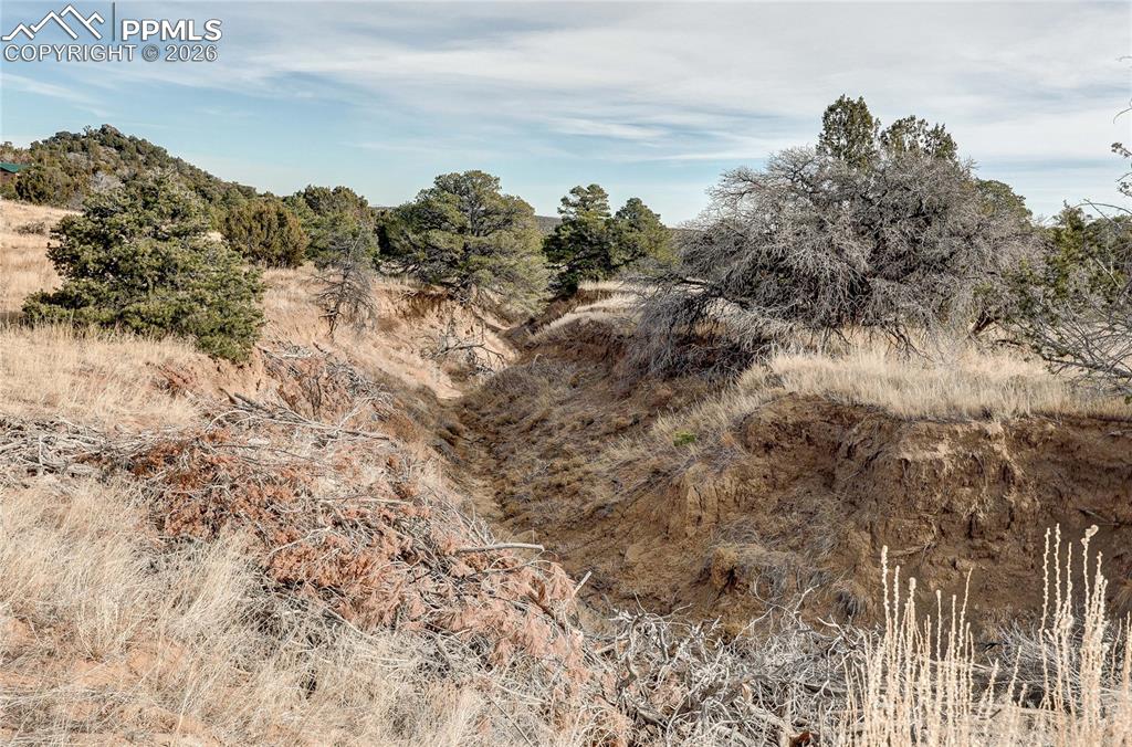 952 Twin Lakes Road Walsenburg, CO 81089 - Photo 25 of 34 a view of a bunch of trees in a field