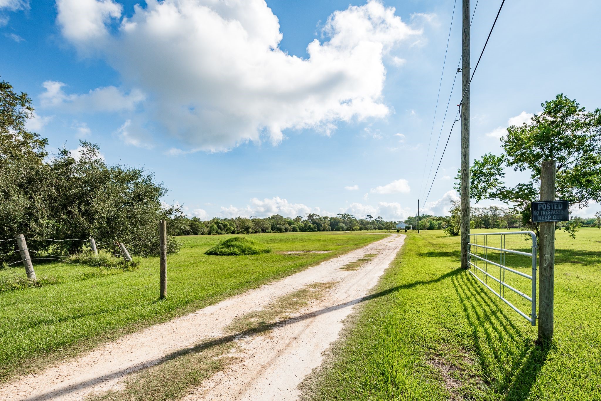 14328 Fm 2354 Rd Beach Baytown, TX 77523 - Photo 1 of 47 a view of a park with large trees with a big yard