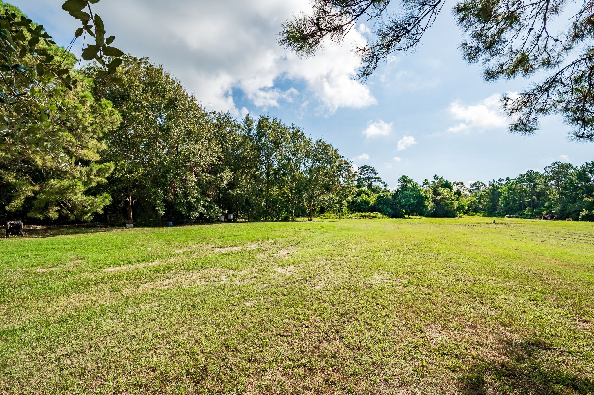 14328 Fm 2354 Rd Beach Baytown, TX 77523 - Photo 12 of 47 a view of a field with an trees
