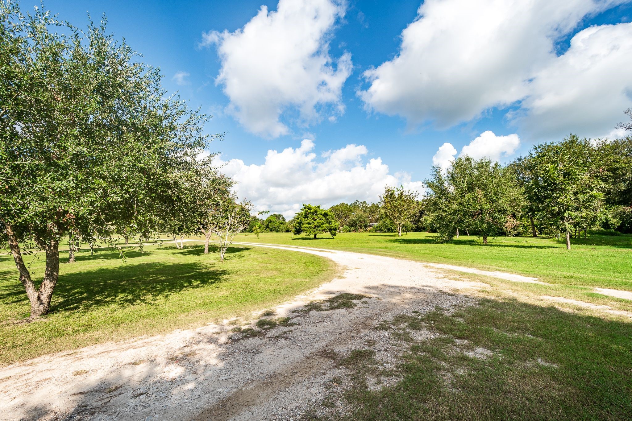 14328 Fm 2354 Rd Beach Baytown, TX 77523 - Photo 2 of 47 a view of a swimming pool and a yard