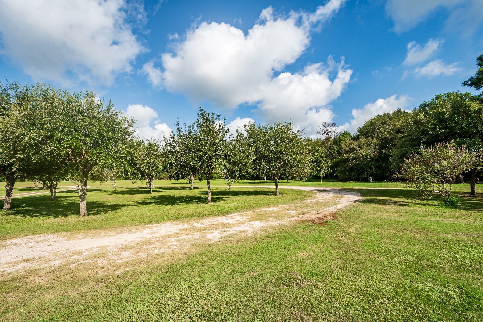 14328 Fm 2354 Rd Beach Baytown, TX 77523 - Photo 3 of 47 a view of a playground and basketball court