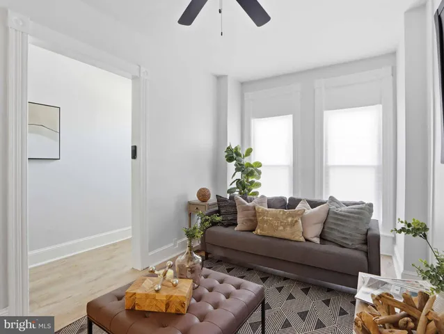 a living room with furniture and a potted plant