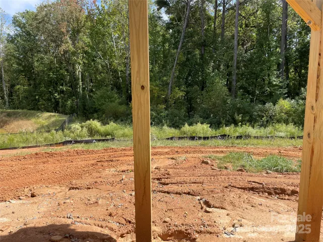 a view of a road from a yard