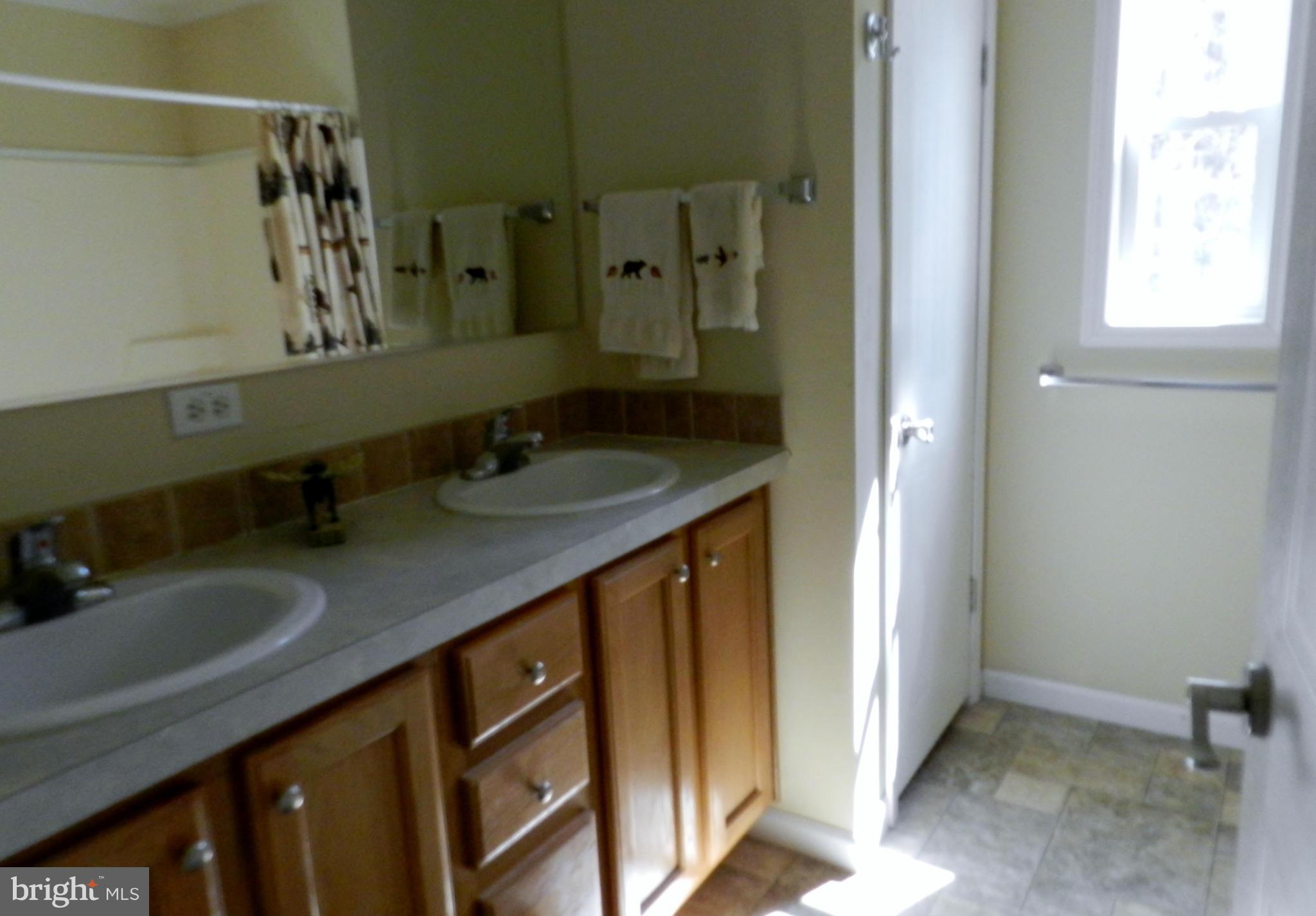 11291 Old Stillhouse Road Boston, VA 22713 - Photo 17 of 30 Bath (Master)