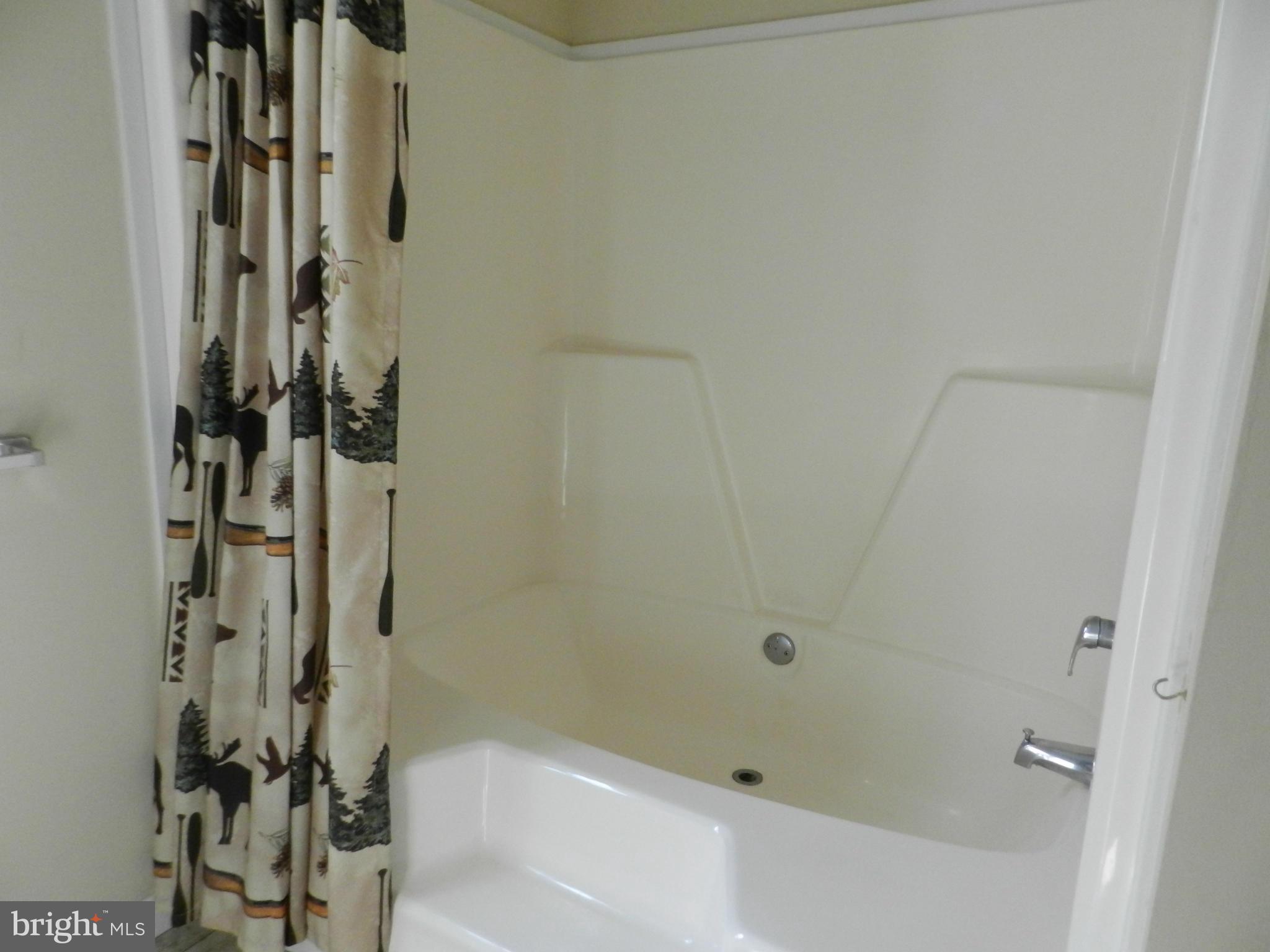11291 Old Stillhouse Road Boston, VA 22713 - Photo 18 of 30 Bath (Master)