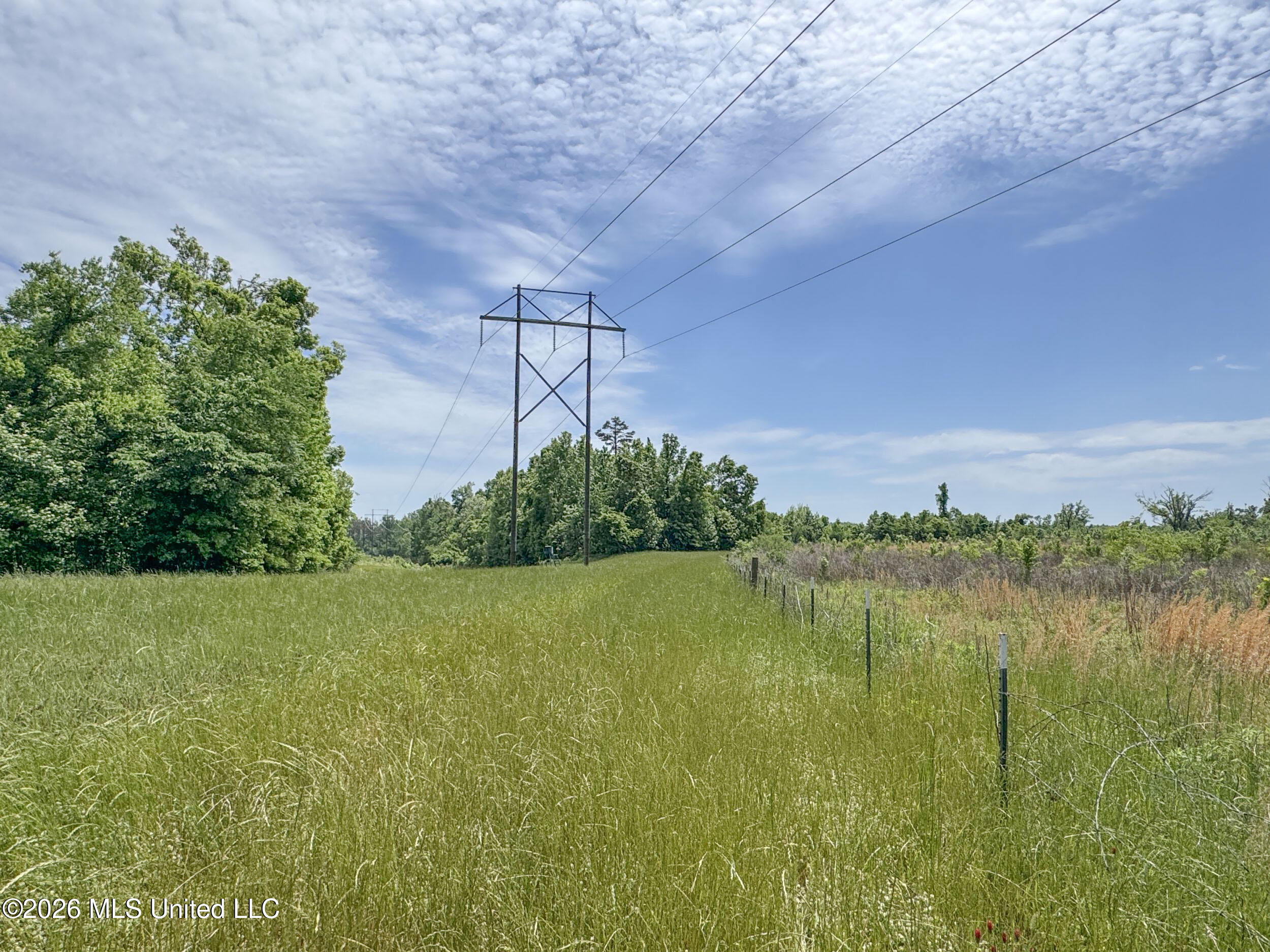 Chinqupin Road Lexington, MS 39095 - Photo 191 of 210 8chqpn60