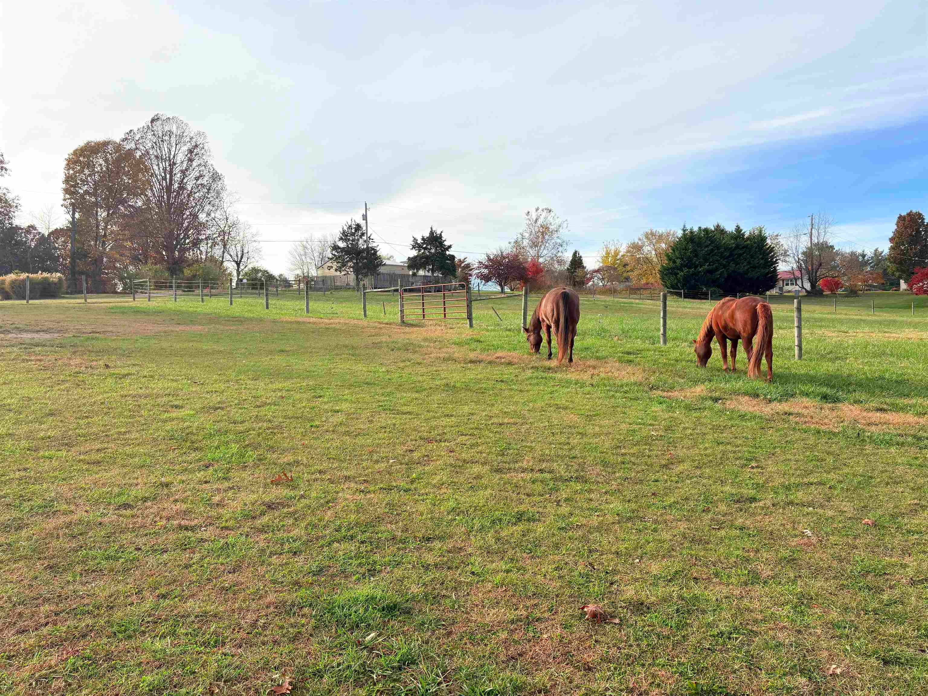 2740 Lantern Road Radford, VA 24141 - Photo 11 of 113 Gallery Image 11
