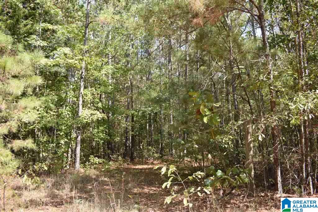 249 County Road, Unit 24 Wedowee, AL 36278 - Photo 1 of 5