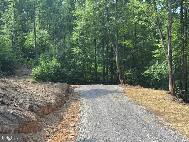 Tbd Locust Grove Road Thornton, WV 26440 - Photo 10 of 24