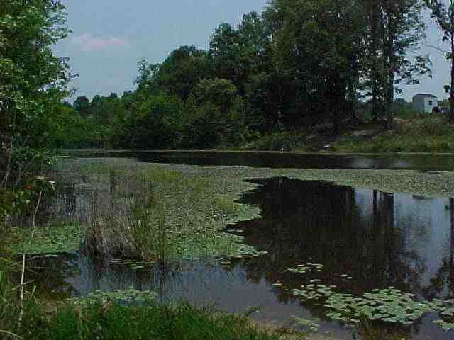 127 Continent Road Iva, SC 29655 - Photo 3 of 4