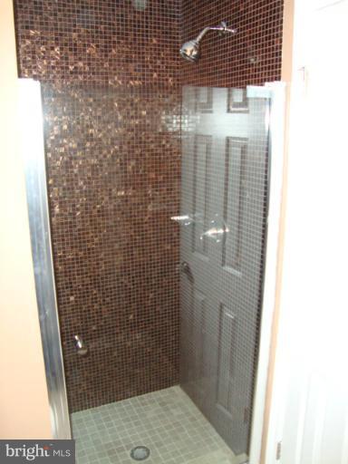 205 Castleton Place Upper Marlboro, MD 20774 - Photo 10 of 18 Bath (Master)