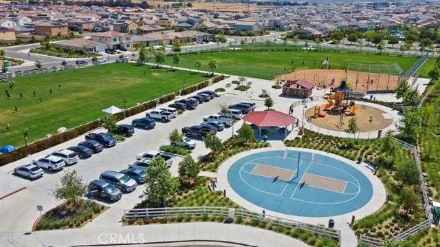 a view of a garden with a lot of trees