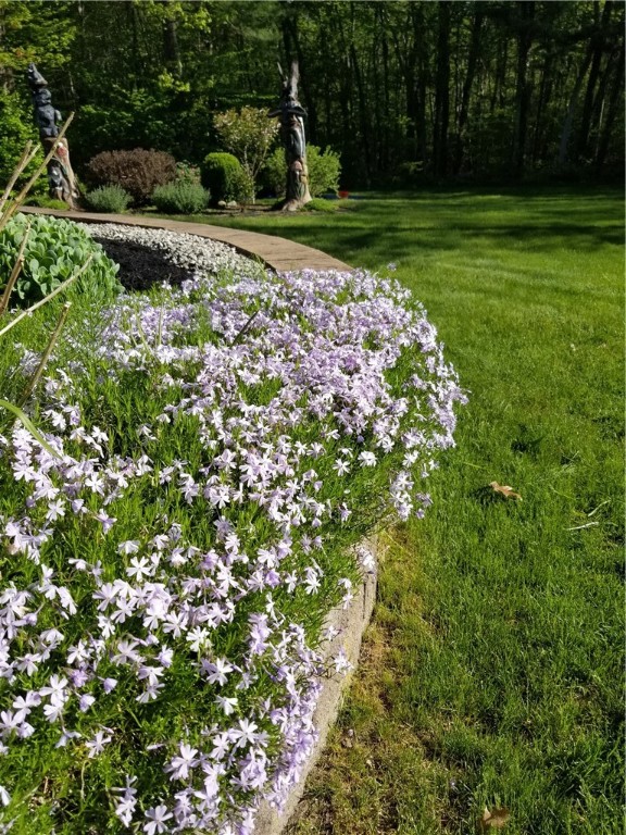 852 Chopmist Hill Road Scituate, RI 02857 - Photo 48 of 50