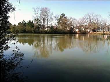 510 Evening Shade Drive Moncks Corner, SC 29461 - Photo 23 of 23 Additional Photo