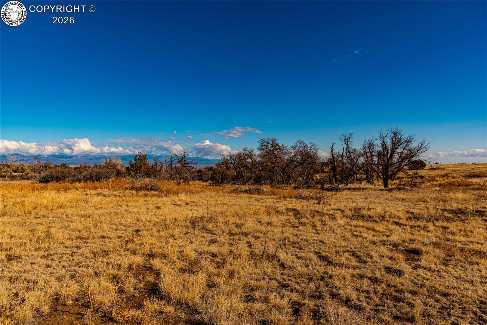 106 County Road 106 Rye, CO 81069 - Photo 8 of 35 Gallery Image 8