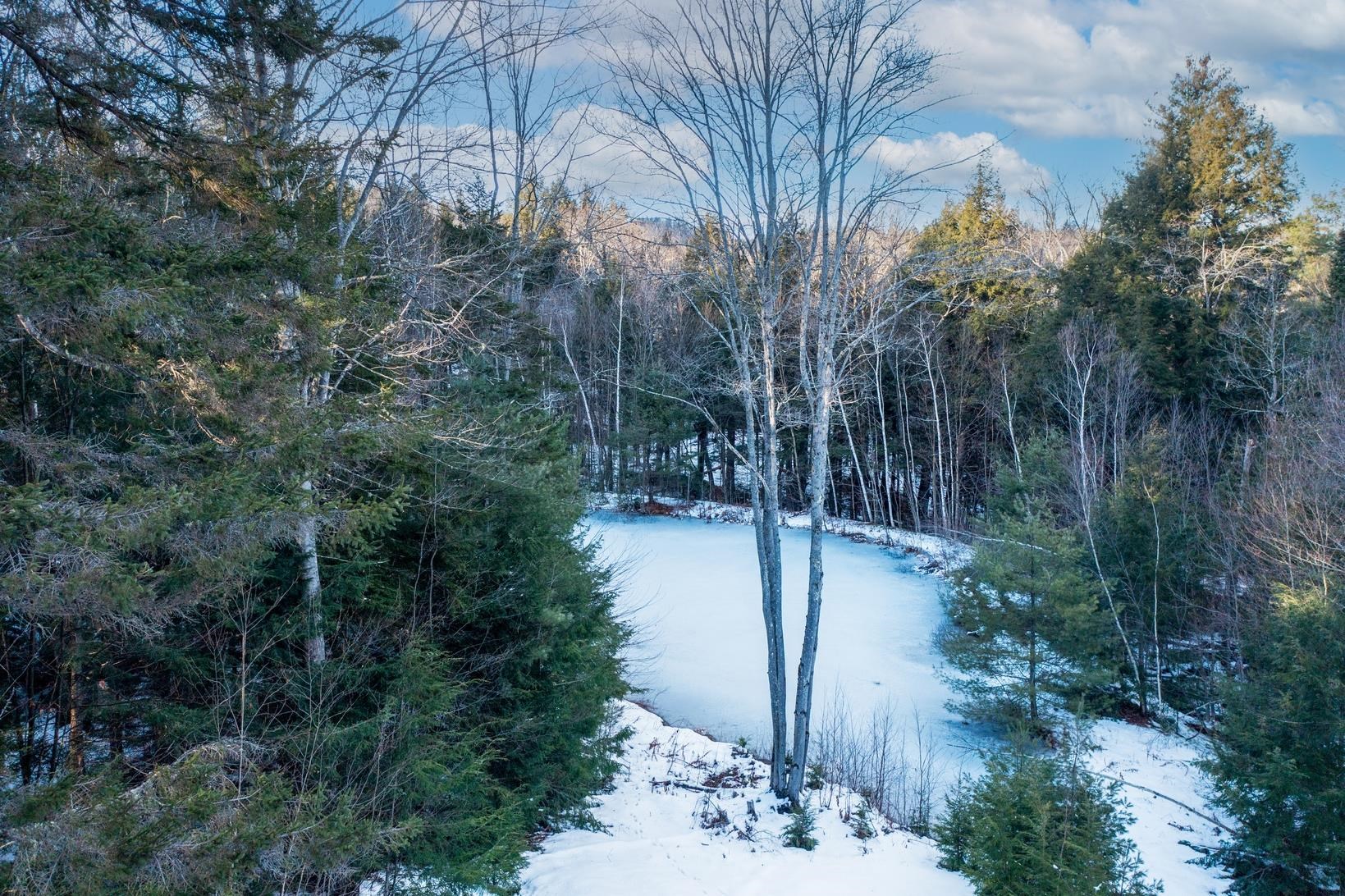 411 Stratton Gate Road Jamaica, VT 05343 - Photo 11 of 19 Gallery Image 11