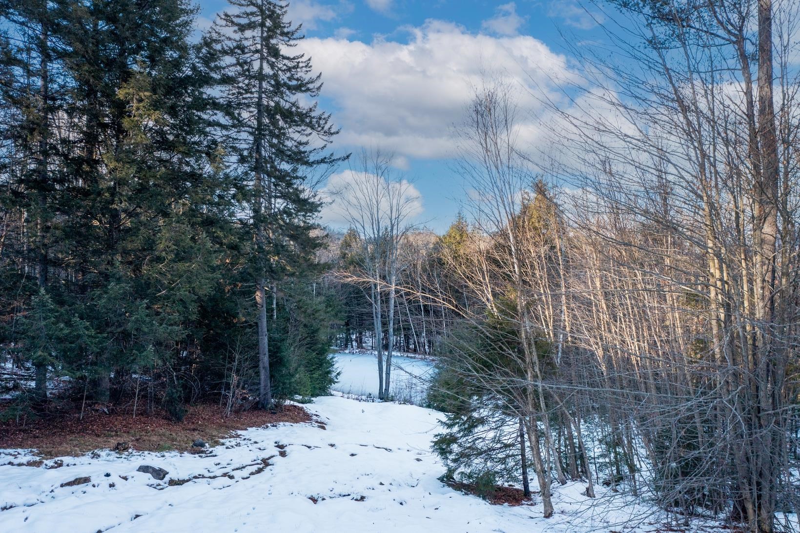 411 Stratton Gate Road Jamaica, VT 05343 - Photo 10 of 19 Gallery Image 10